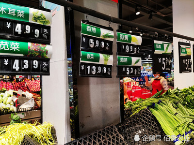 透視蔬菜漲價(jià)背后 從城市菜比肉貴到返鄉(xiāng)種菜潮
