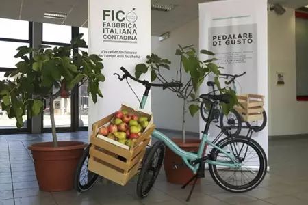 新零售的創(chuàng)新標(biāo)桿 迪士尼休閑農(nóng)場(chǎng)超市與Eataly的開(kāi)山之作